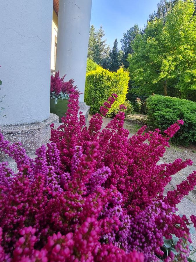 Wrzosowe Siedlisko Villa Czosnów Buitenkant foto